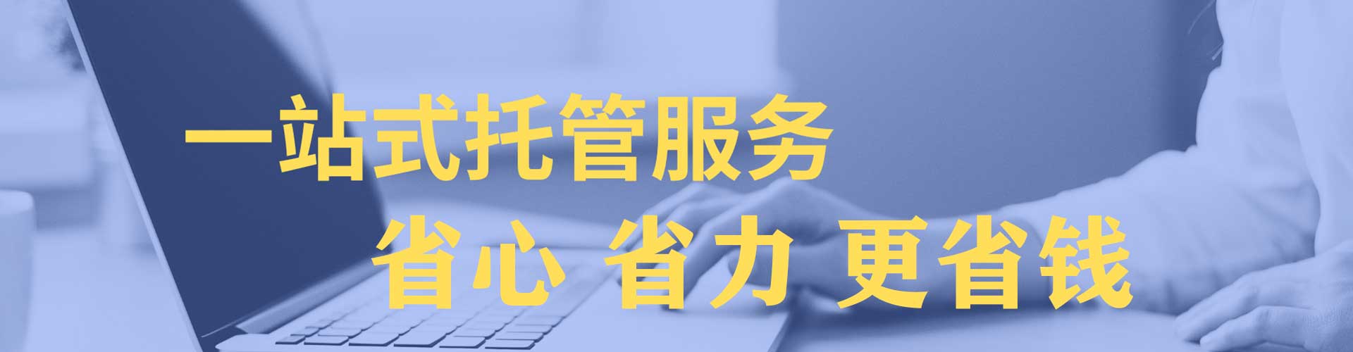 西林竞价托管
